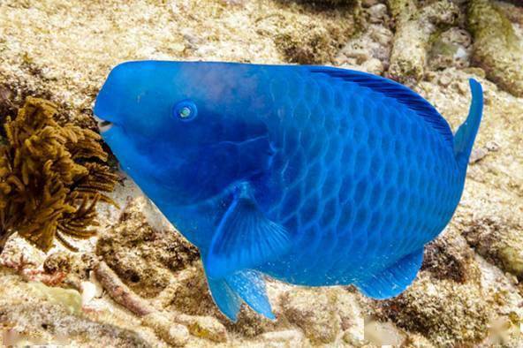 ��֪��������������ϸ��ɳ̲����ʵ���㡾��㡿��