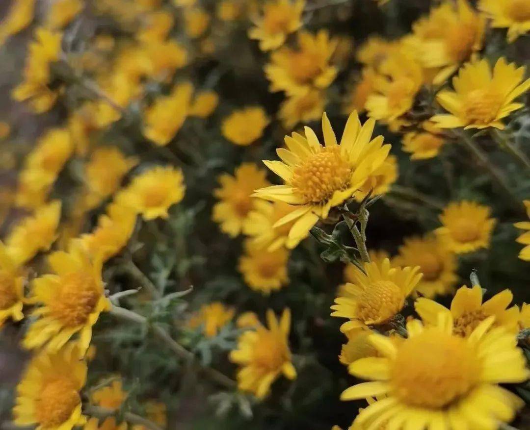 ���ʴ��������ļ���С�£��������