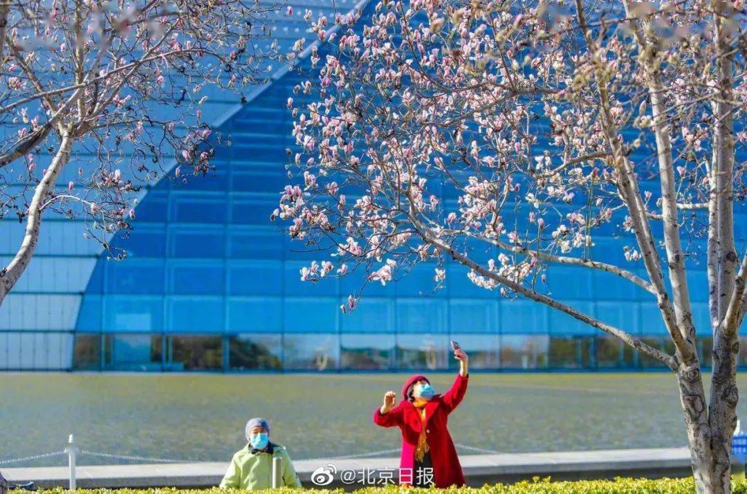 北京超美的9大拍花地，你确定不去看一下吗！