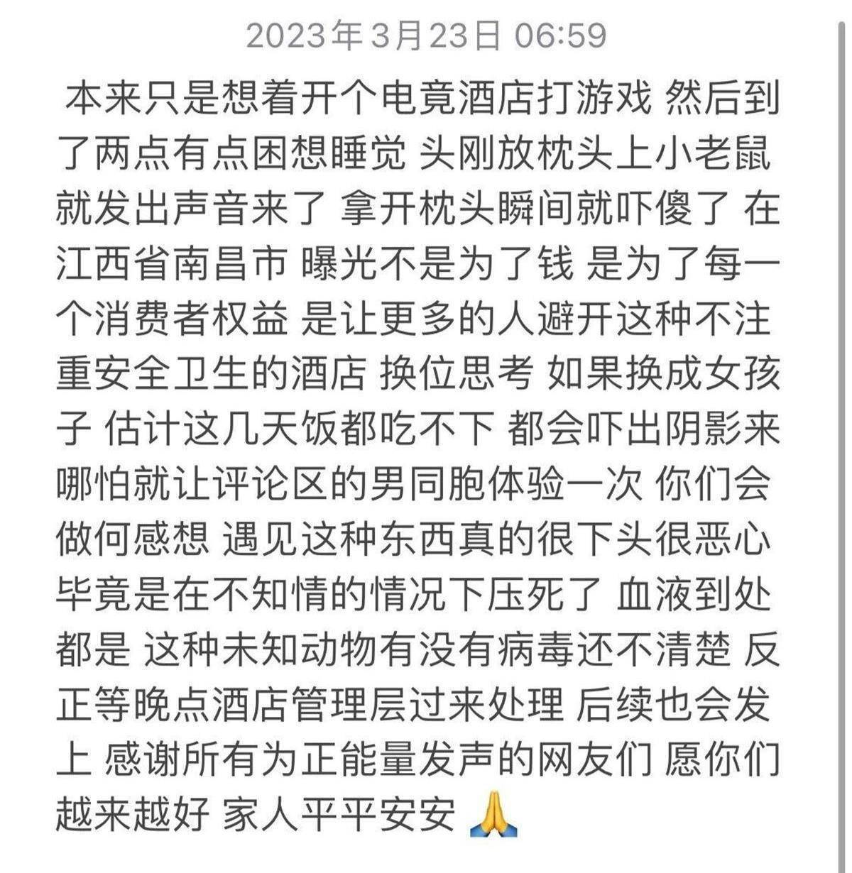 麻了！男子入住南昌战网电竞酒店 枕头下竟有一窝小老鼠