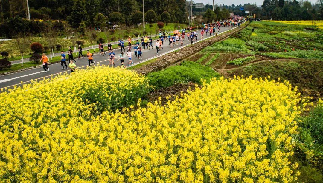 在奔驰中感触感染生命律动 | 都江堰做家眼中的马拉松……