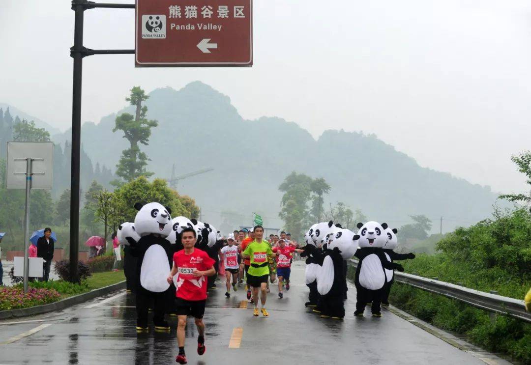 在奔驰中感触感染生命律动 | 都江堰做家眼中的马拉松……