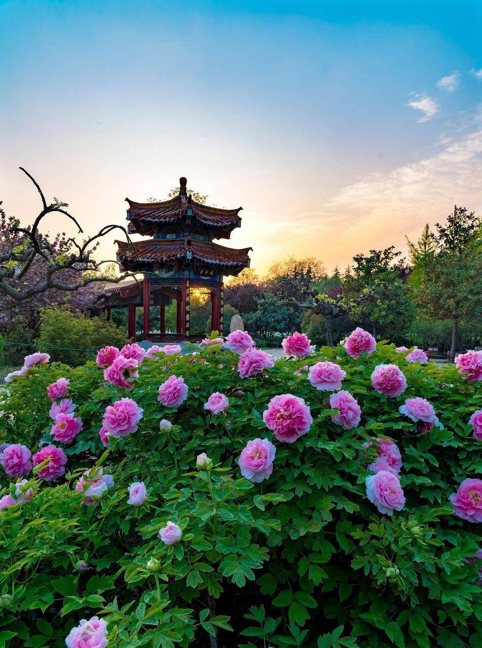 �й���һ�Ʋ���5A������Ƿծ4���ڣ���Ʊ���Ǽۣ���Ȫˮֻ ...