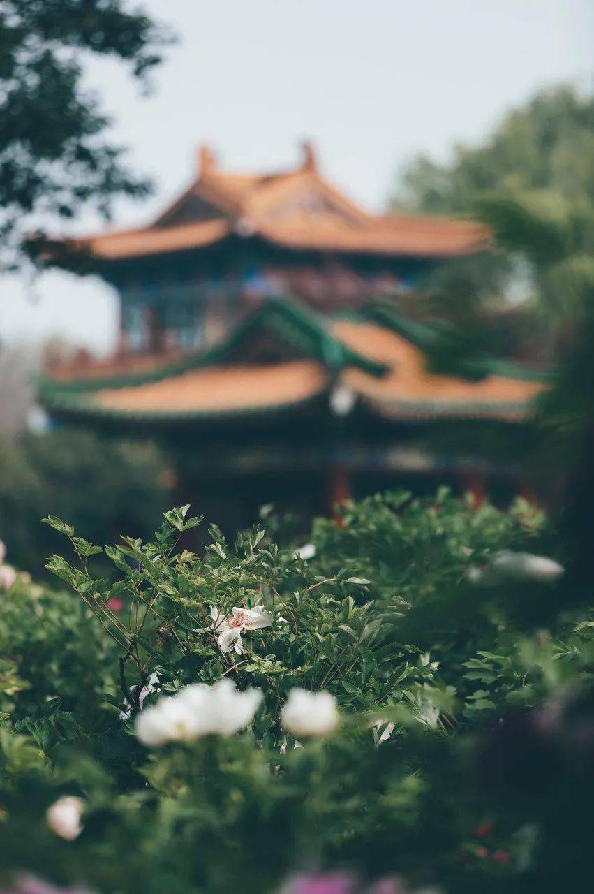 �й���һ�Ʋ���5A������Ƿծ4���ڣ���Ʊ���Ǽۣ���Ȫˮֻ ...