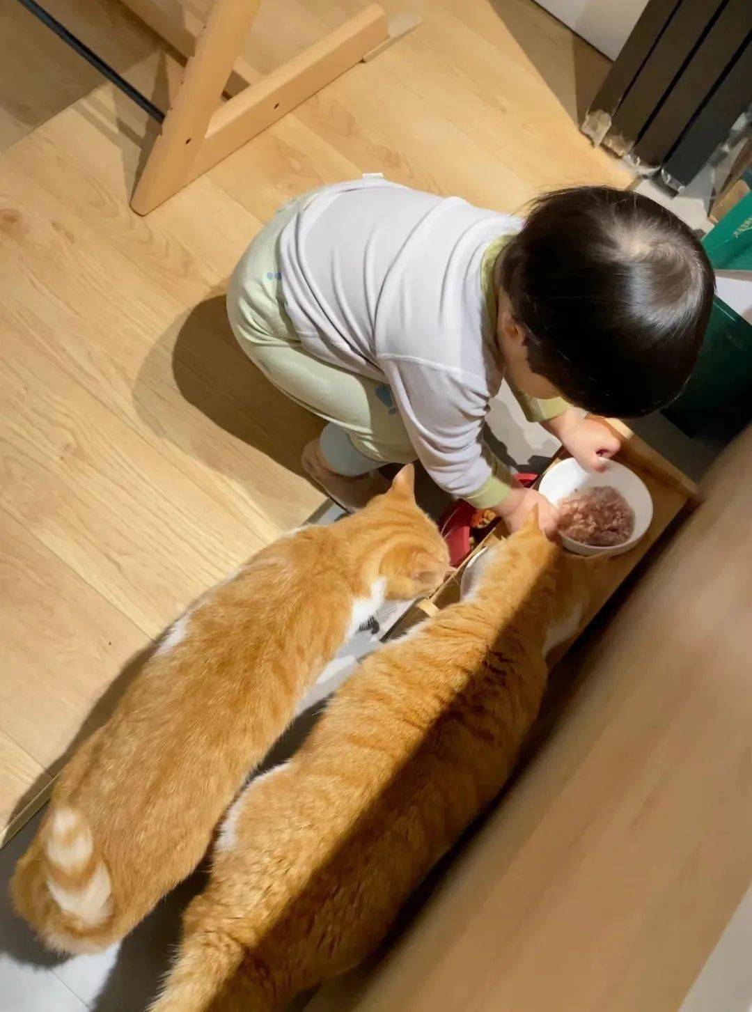 ���ë����Ϊʲôϲ������㣿