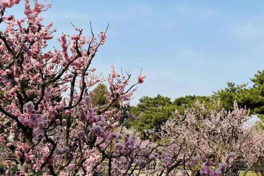 ���չ��ԣ�ʲô����˵TA ���һ����ۣ�