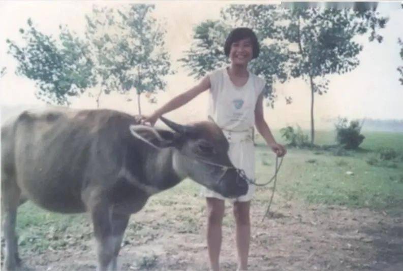 李雪琴，能否代替贾玲？