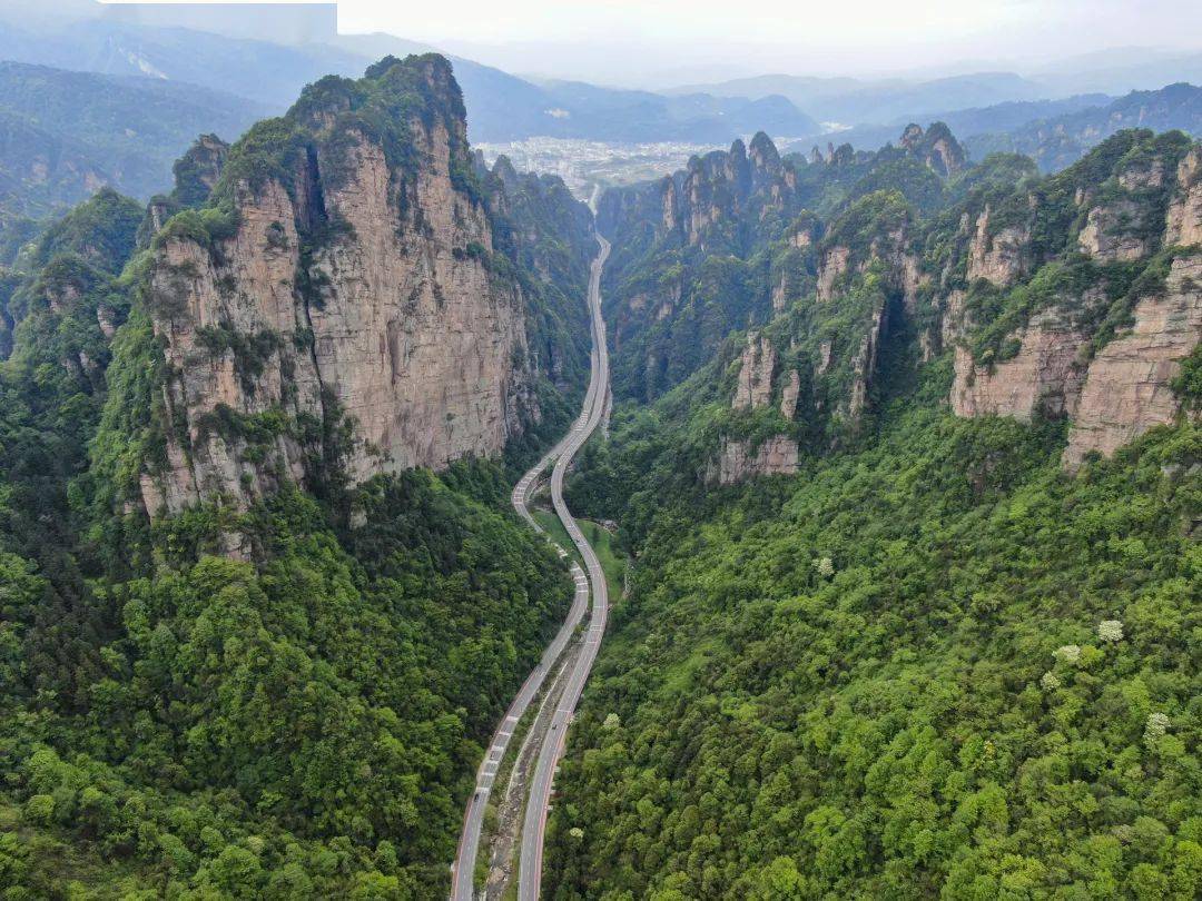 带上TA，那些景点全年无限次免费畅玩！黄山景区每周三免门票