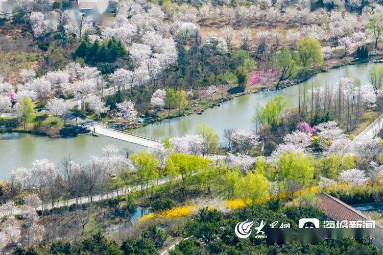 视觉山东丨群众视觉影像库一周图片精选（4月3日-4月9日）