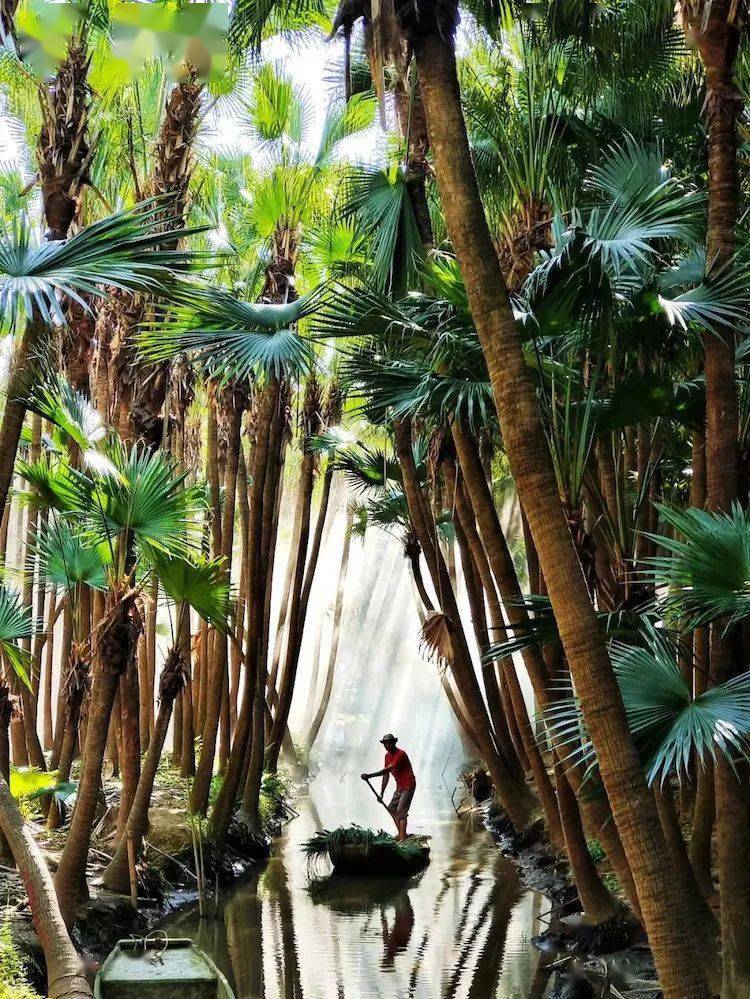 �����ˡ������塿ɳ̲����������,��̲��ʯ����Ϸ,������Ϸˮ,��÷�Ҵ�Ժ,...