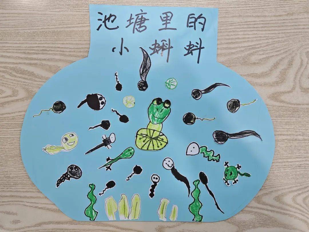 【课程故事】遇见蝌蚪