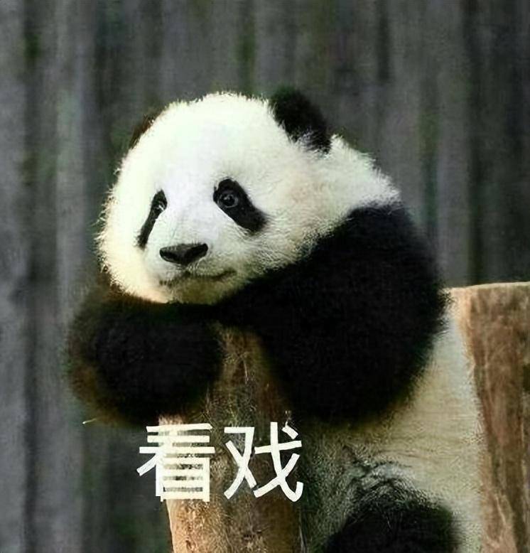 ChatGPT识唐诗?揭秘其学习过程 ChatGPT识唐诗?揭秘其学习过程