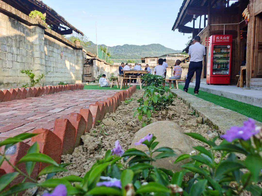 孟溪开云 开云体育平台镇寨阳村：特色农家乐敲开乡村振兴“致富门”(图3)