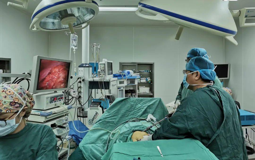 急腹症：脾脏切除术、肝破裂修补术等急症手术，中西医结合治疗肠梗阻。微创胆囊摘除术直肠癌根治术两腺外科方面熟练开展甲状腺微波消融术、乳