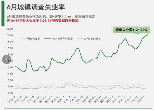 6月全国16-24岁劳动力调查失业率为21.3%，“全职儿女”人数增加 专家：不是所有人都能选择暂缓就业