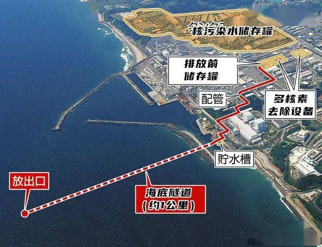 日本核污染水已进入大海，海关总署：全面暂停进口日本水产品！-第1张图片-索考网