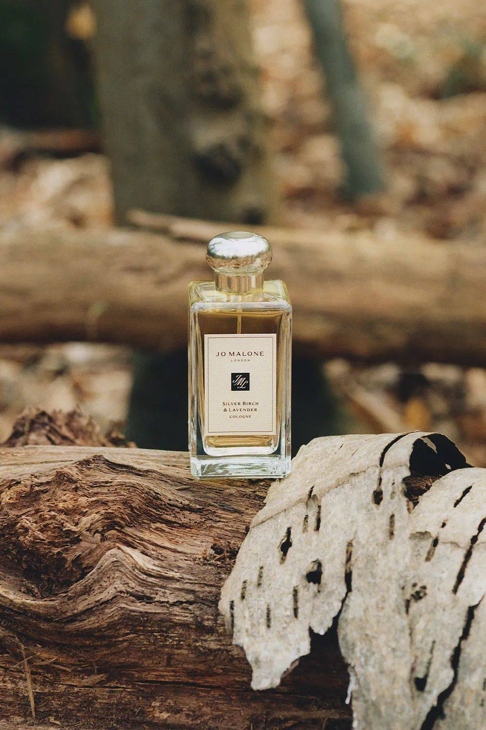 ���ܶ�̬ | ������������ȫ��Ʒ�ƴ�����,Tiffany Lock ROS������...