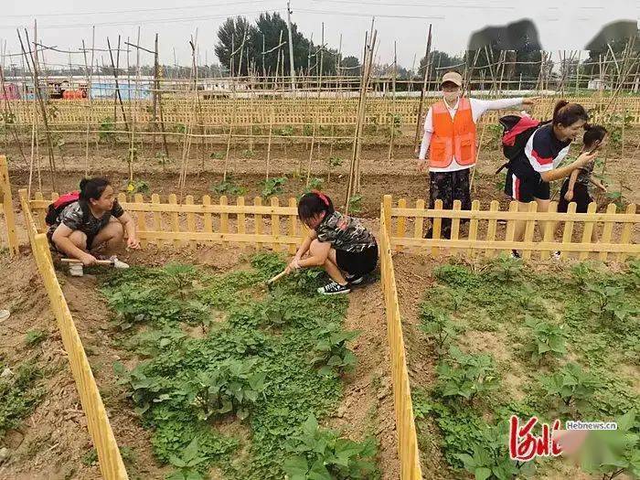 双节游河北 25条休闲农业精品线路带你邂逅“醉”美秋天开云APP 开云官网入口