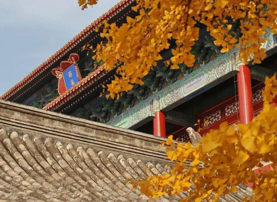 中国最美的50个秋景，去过20个就算旅行达人