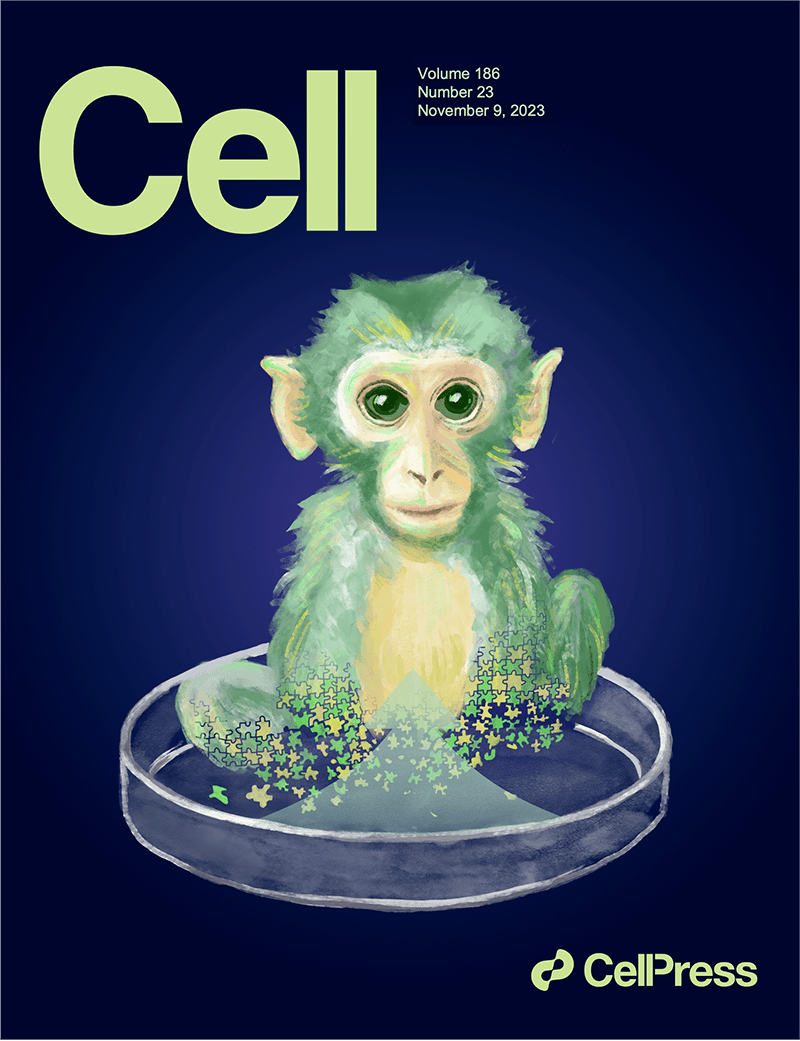 细胞杂志最新封面一只绿色荧光猴 研究 胚胎 团队