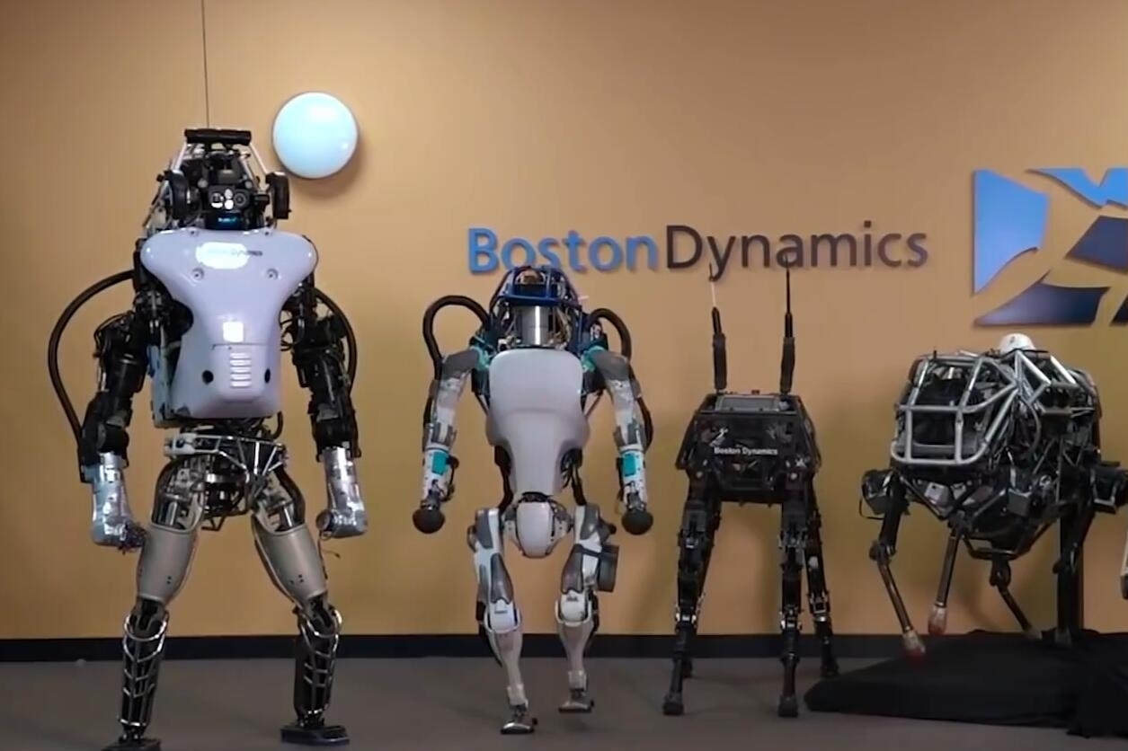 美国波士顿机器人图片