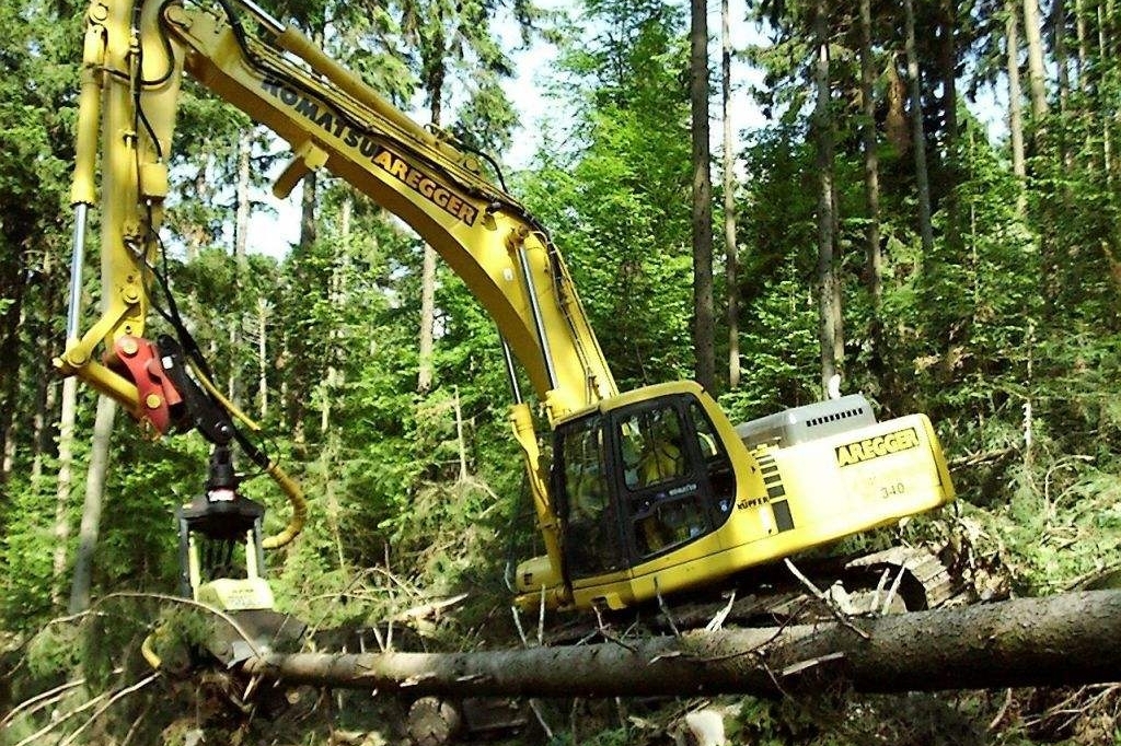 德国技术果然厉害!让大家看看德国的伐木机有多强大