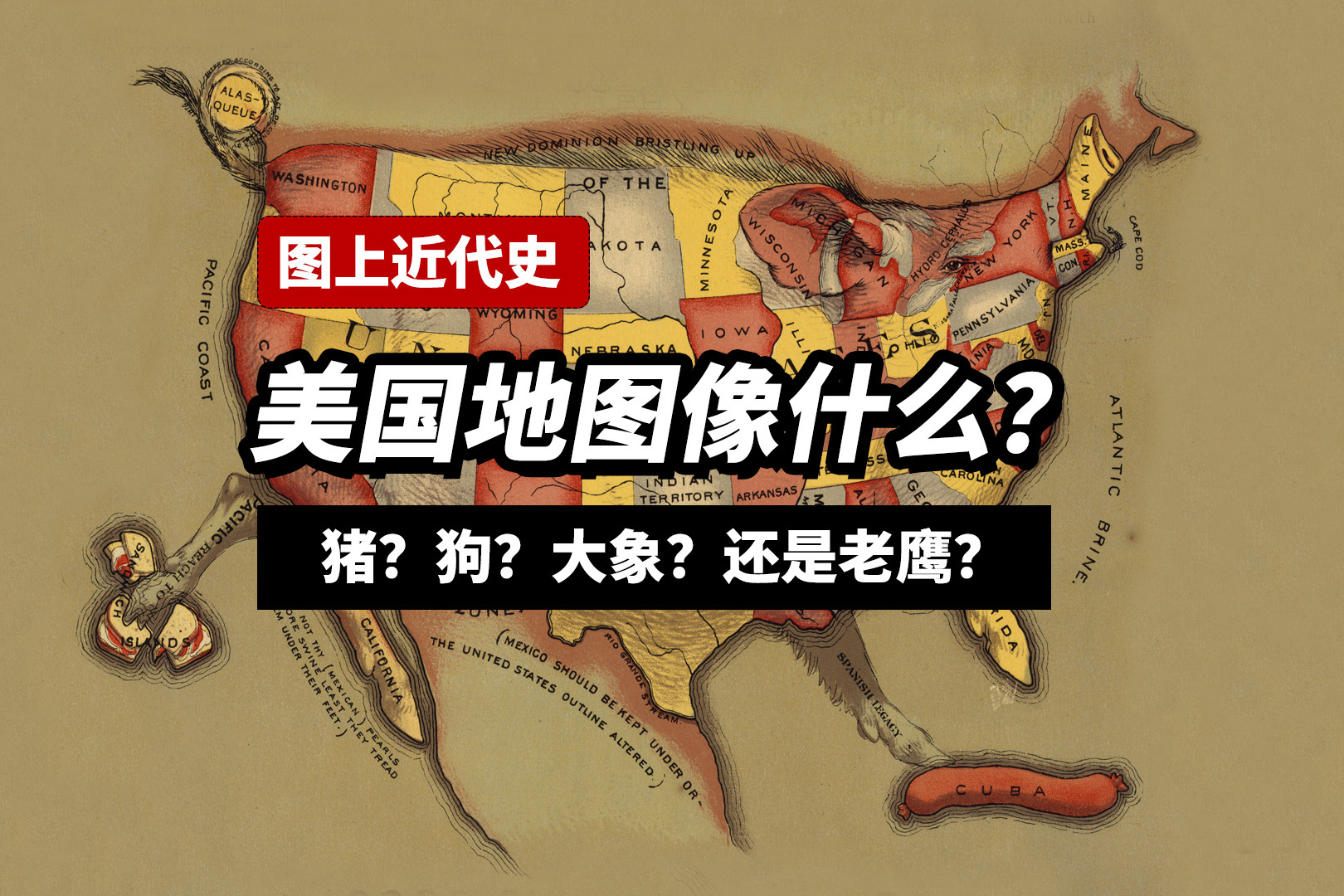 美国地图像什么猪狗大象还是老鹰象形地图后的趣味美国史