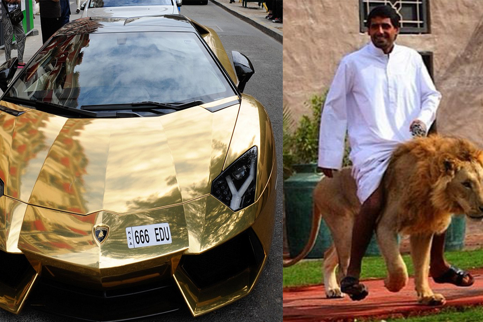 迪拜富豪奢侈图片