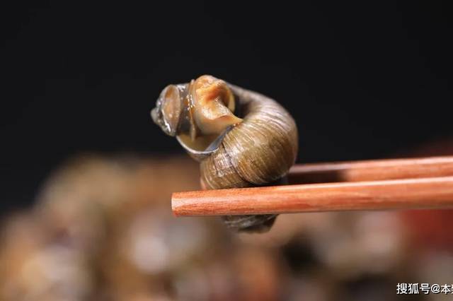 吃田螺可是一门技术活,一些有"平螺史"的食客,先用手指捻起一只油光