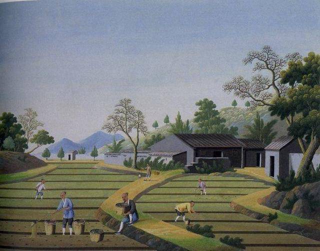 古代荒地那么多,为什么农民宁可被地主剥削压迫,也不去开垦呢?