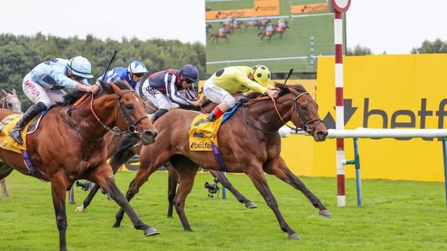 日本已故种公马"黄金旅程"子嗣斩获第55个锦标赛冠军2天前00香港赛马