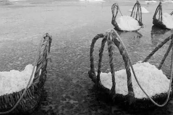 中湖盐深圳运营公司