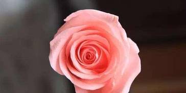 未来10天，横财大奖如雨的4大生肖，喜事简直数不过来