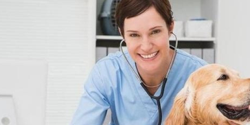 狗吃得少且很瘦咋回事