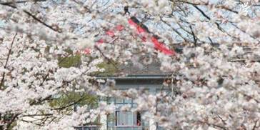 高校最美春色大比拼！你想和谁一起欣赏？