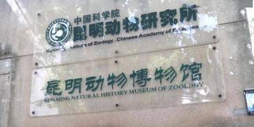 揭示了演化历史和规律 我国在灵长类进化遗传领域研究取得重要成果