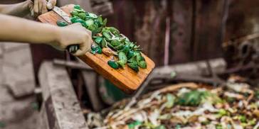 靠抢才能吃的“剩菜盲盒”，年轻人怎么就上瘾了？