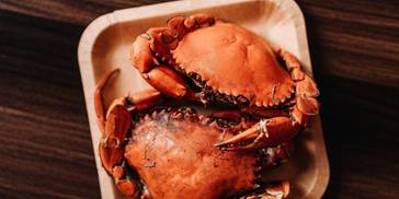 秋季吃蟹正当时！但这四类人要当心