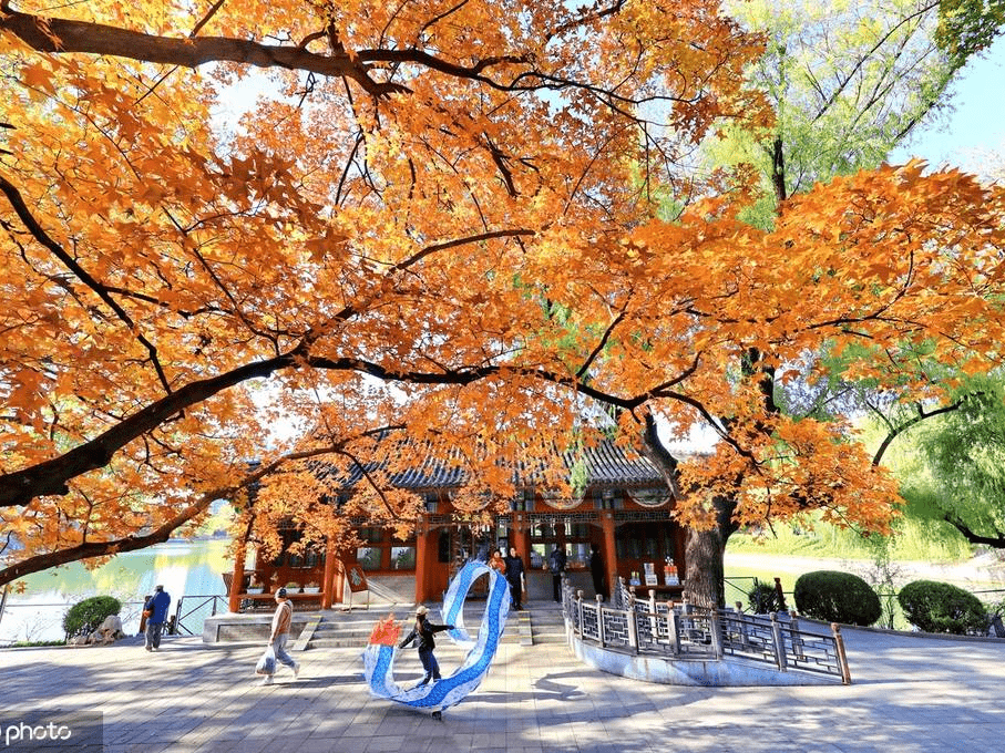 初冬时节北京紫竹园公园斑斓如画