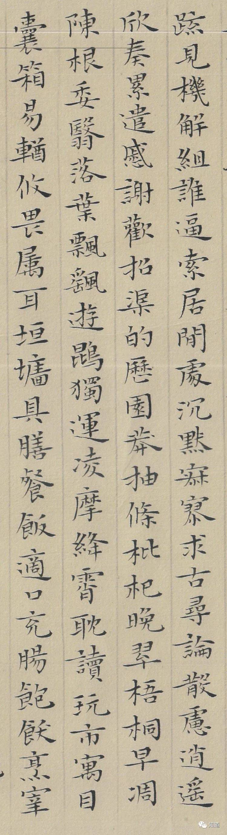 杨文彪小楷千字文图片