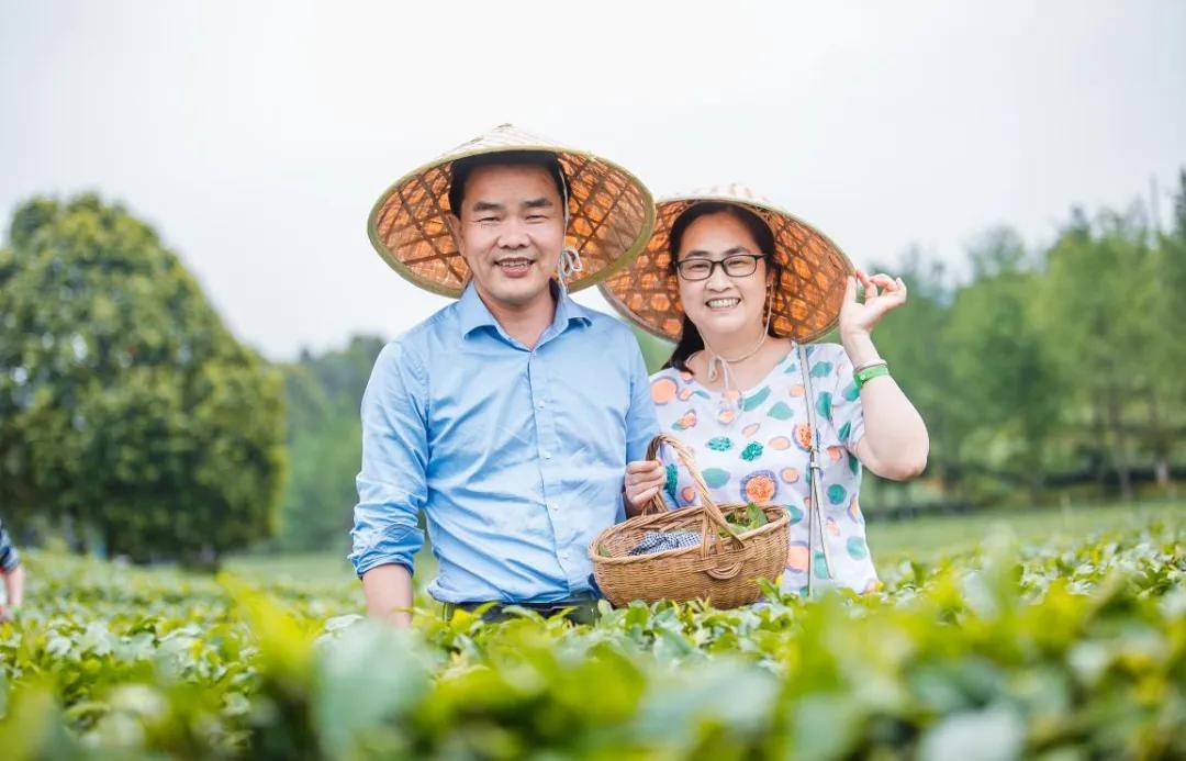 辞春迎夏采茶去，跟奇骏翻越茶山品香茗