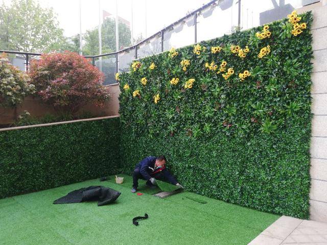 青岛仿真植物墙安装-青岛道合麦田团队