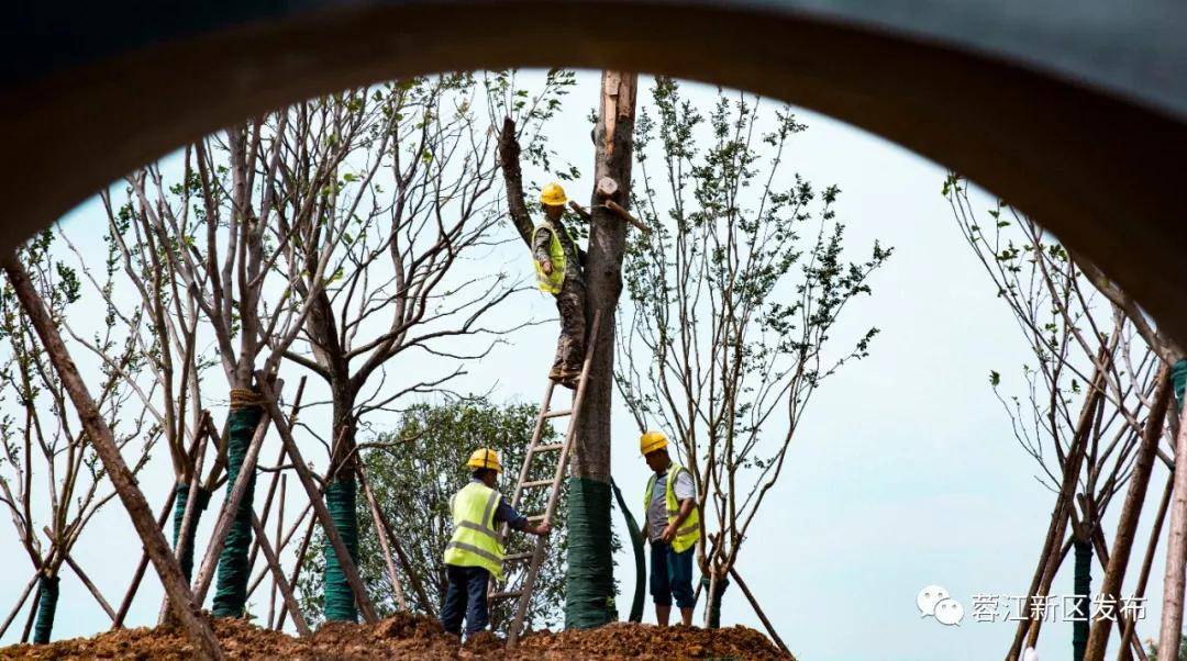 拍摄者 钟林传乡镇,是统筹城乡一体化发展的关键节点.