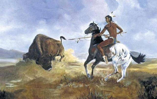 印第安人猎野牛