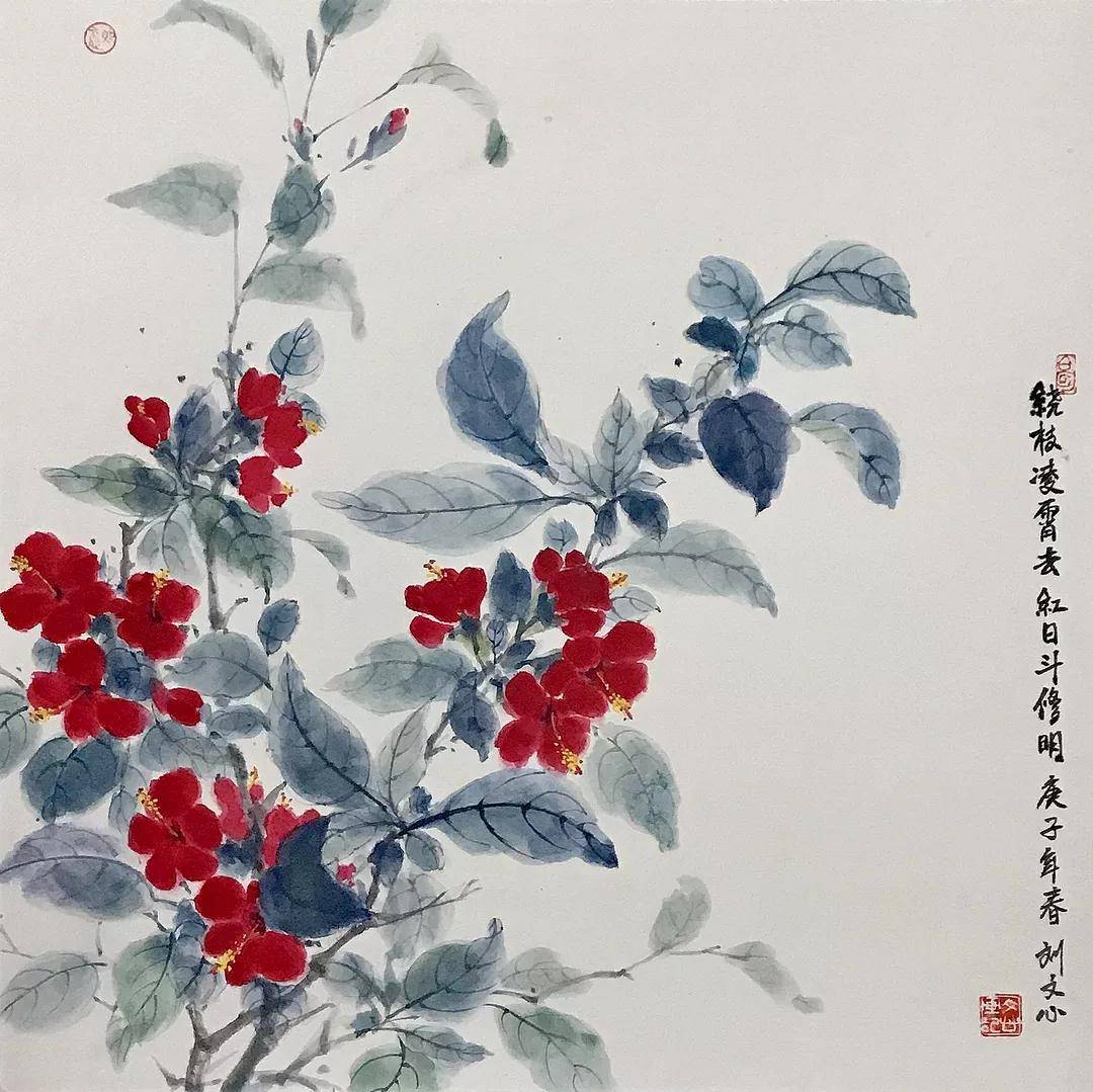 《扶桑花》规格:50cmx50cm纸本 2020年《三角梅》规格:50cmx50cm纸本