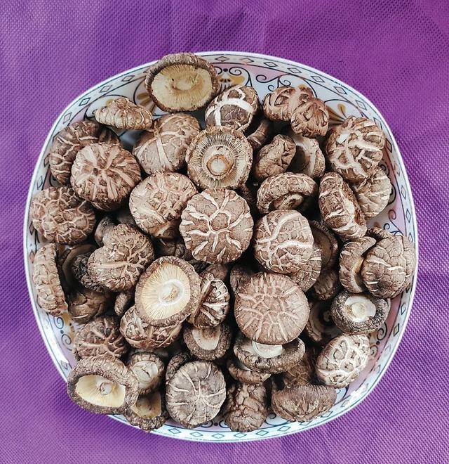 吕梁名特优功能食品吕梁特色农产品展交口篇