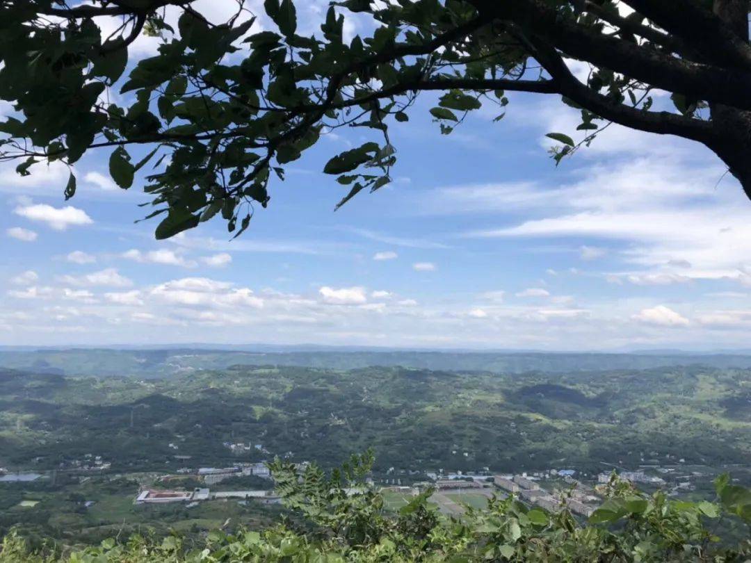 重慶巴南農家樂這家嘿有特色採靈芝觀雲海看日出日落紅豆杉山莊