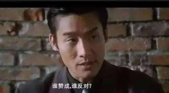 "谁赞成,谁反对"