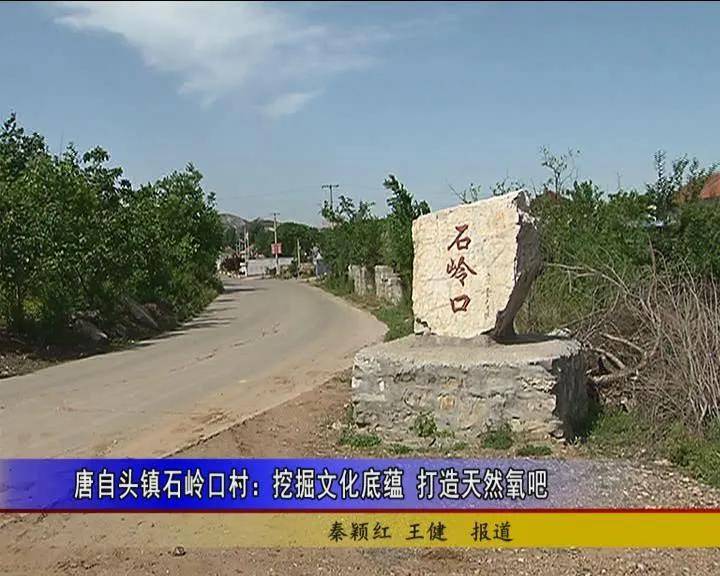 唐自头镇石岭口村:挖掘文化底蕴 打造天然氧吧