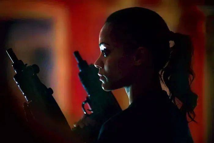 性感又美艳的5部女特工电影!赶快看!